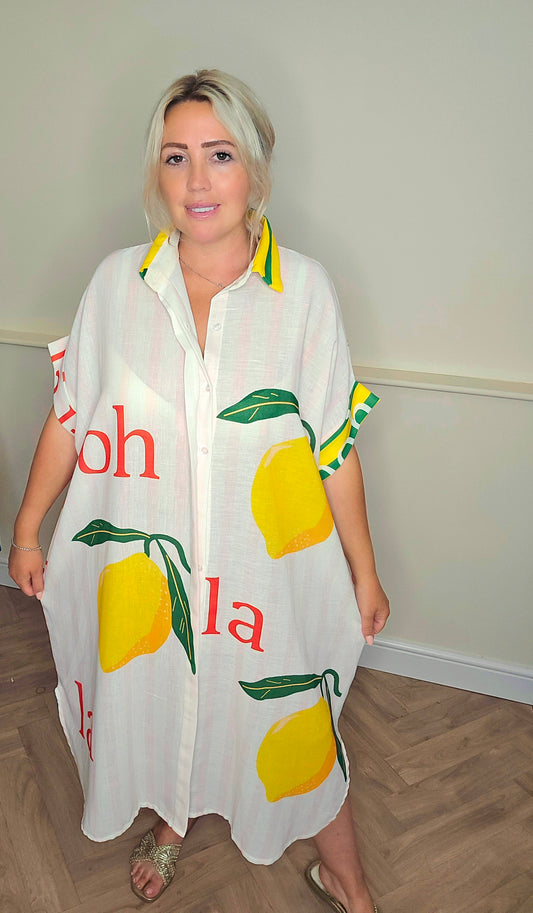 Ooh La La Linen Mix Shirt Dress